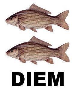 NUN LO DIMENTICA' !! - 24/09/2012