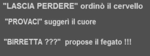Immagine Divertente - 08/02/2013