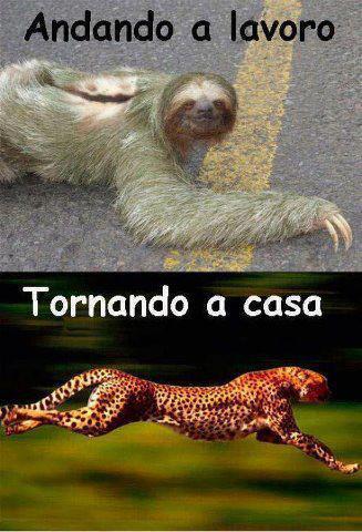 SO' IO !! - 23/04/2013