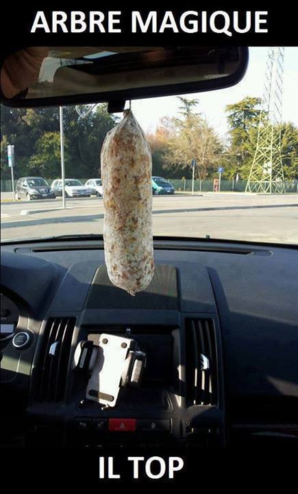 ER MEJO !! - 10/08/2013