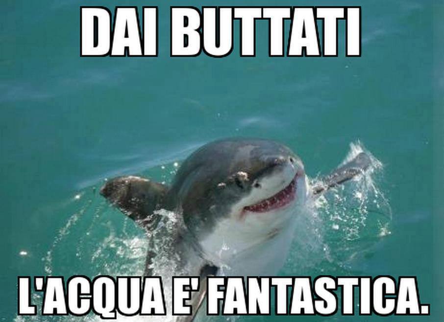 Immagine Divertente - 10/08/2013