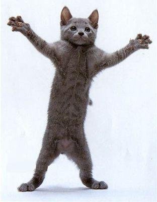 VIÈ QUA... FATTE ABBRACCIA' !! - 12/03/2012