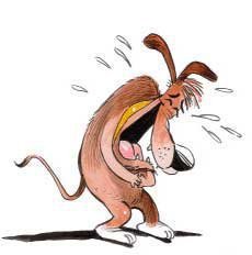 NUN SO' SE TAJAMME O PIAGNE... NELL'INCERTEZZA, ME TAJO !! - 16/03/2012