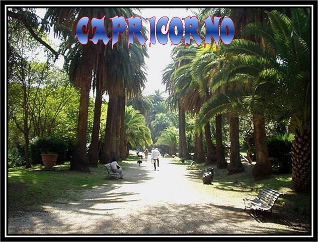 Capricorno !! - 03/03/2012