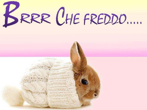 AMMAZZA CHE FREDDO !! - 05/11/2012