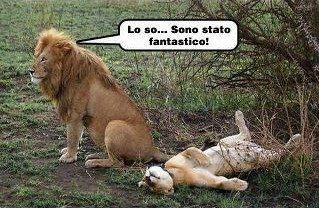 'A MODESTIA PRIMA DE TUTTO !! - 09/05/2012