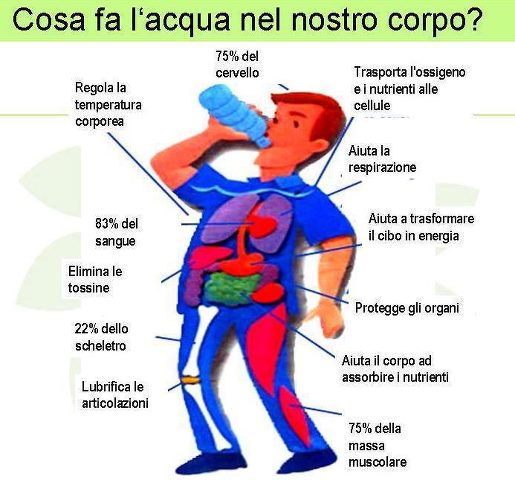 L'IMPORTANZA DE BEVE !! - 16/04/2012