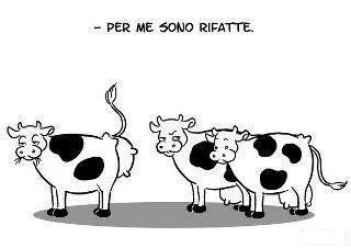 NUN CE SO' DUBBI !! - 28/05/2012