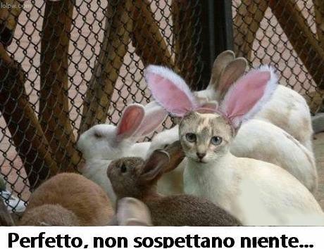 ME STO A MIMETIZZA' !! - 26/06/2012