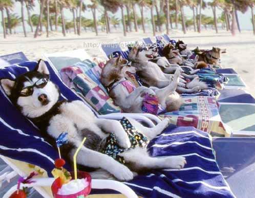QUANTO CE PIACE ER RELAX !! - 26/06/2012