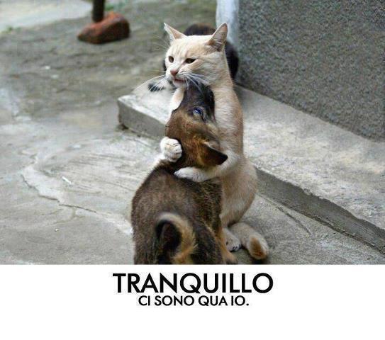 NUN TE PREOCCUPA' !! - 09/05/2012