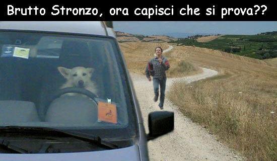 Immagine Divertente - 05/07/2012
