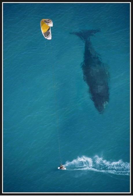 CE SO' QUEI MOMENTI CHE VORRESTI AVE'... SEMPRE ER VENTO DALLA TUA PARTE !! - 10/03/2012
