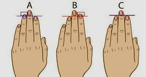 COME E' FATTA LA TUA MANO? LA LUNGHEZZA DELLE DITA RIVELA DI CHE PASTA SEI FATTO - 15/04/2015