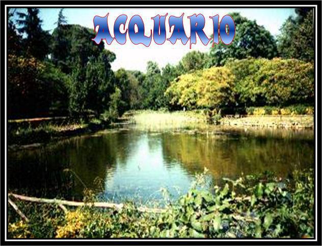 Acquario !! - 03/03/2012