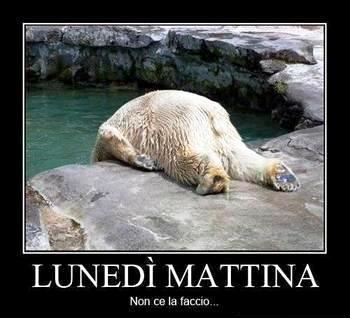 ER LUNEDI'... NUN JE LA POSSO FA !! - 09/05/2012