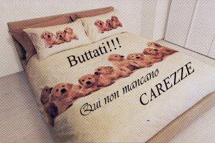 Immagine Divertente - 07/02/2013