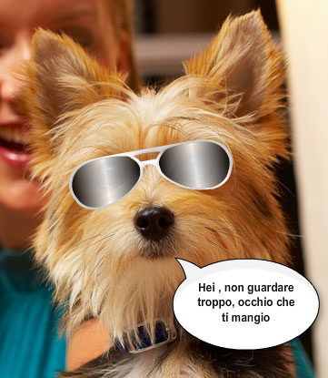 Immagine Divertente - 03/05/2012