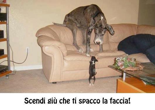 DAJE SCENNI !! - 30/05/2012