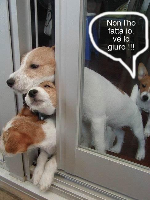 NUN SO' STATO IO !! - 25/06/2012