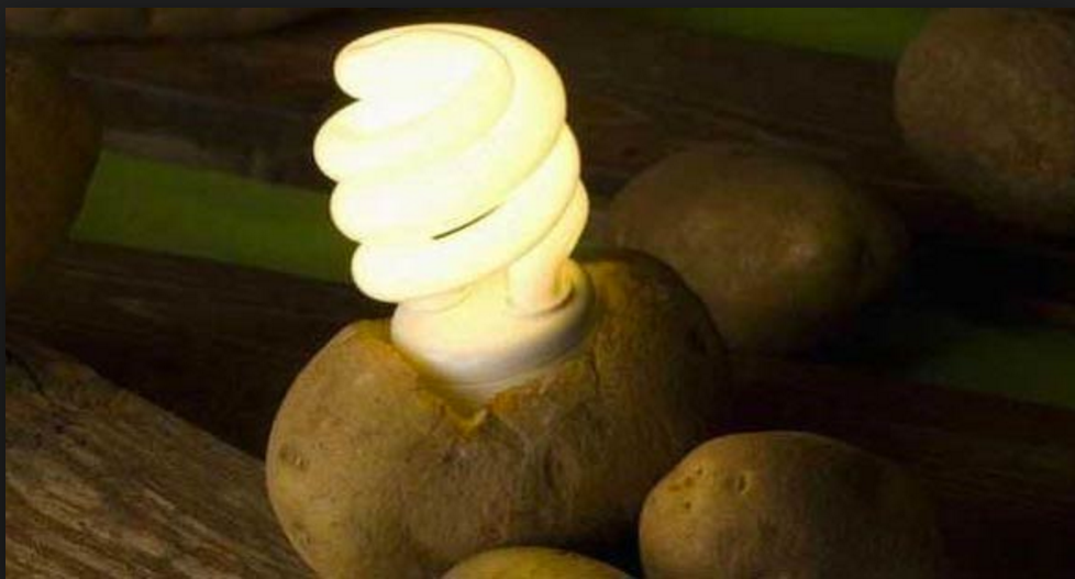 ECCO COME ILLUMINARE UNA STANZA CON UNA PATATA E UNA LAMPADINA: ECCO L'INCREDIBILE TRUCCO - 04/12/2016
