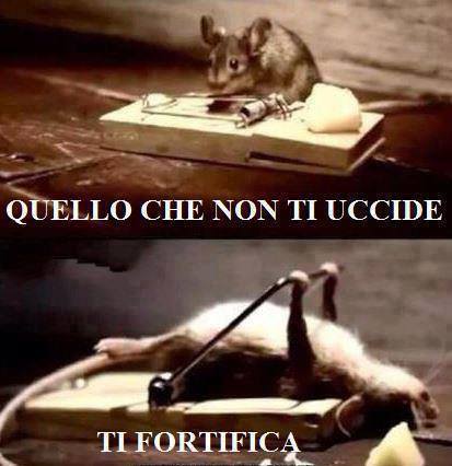 Immagine Divertente - 13/09/2013