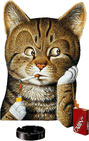 SO' STRESSATO !! - 07/01/2013