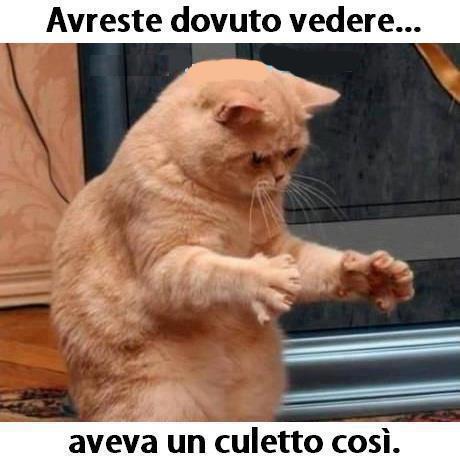 Immagine Divertente - 17/06/2012