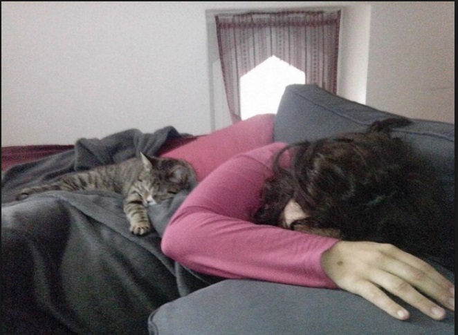 DORMIRE CON IL GATTO: ECCO GLI EFFETTI SULLA SALUTE DELL'UOMO - 23/06/2016