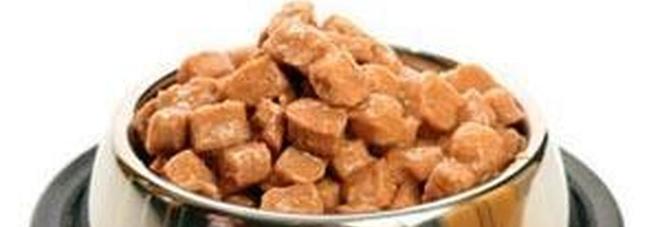 SALMONELLA NEL CIBO PER ANIMALI DOMESTICI PERICOLOSO ANCHE PER L'UOMO: ATTENZIONE AL PET FOOD CONTAMINATO - 04/12/2016