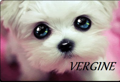 Er tuo segno zodiacale per ogni cagnolino: VERGINE - 10/05/2012