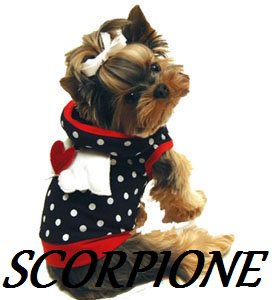 Er tuo segno zodiacale per ogni cagnolino: SCORPIONE