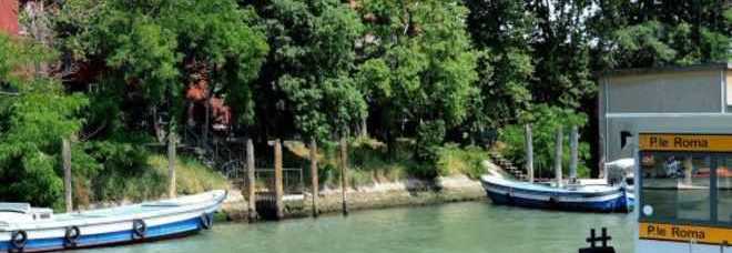 DONNA SI UCCIDE BUTTANDOSI IN ACQUA, IL CANE VEGLIA IL CADAVERE DALLA RIVA - 17/10/2013