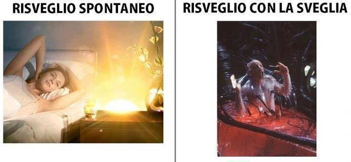 ER RISVEJO !! - 12/03/2012