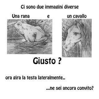 PROVATECE 'N PO' !! - 17/07/2012