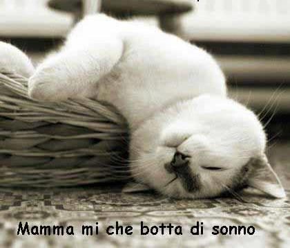 ME STO A ABBIOCCA' !! - 12/05/2013