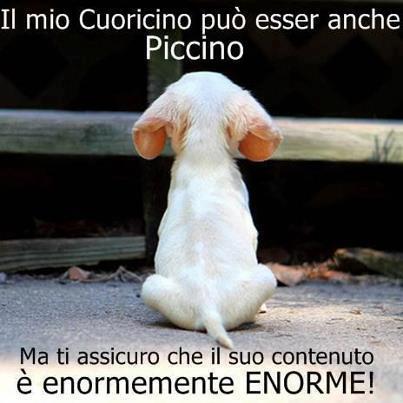 NUN C'E' VERITA' PIU' GRANDE !! - 10/07/2012