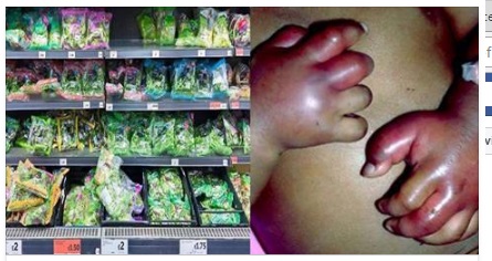 NON COMPRATELA MAI, PUO' ESSERE MOLTO PERICOLOSA. L'ALLARME DEGLI ESPERTI - 20/11/2016