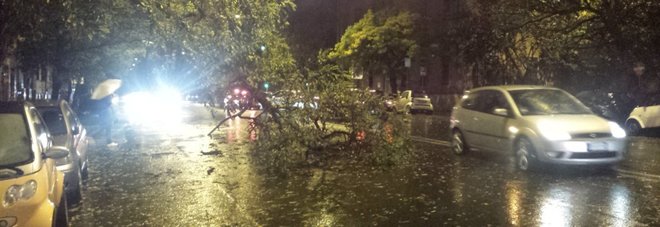 TORNADO A ROMA, AMBULANZE BLOCCATE DAGLI ALBERI: LA MAXI EMERGENZA IN CITTA' - 06/11/2016