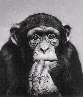 CHI GIRONZOLA PE' CASA E POI SE DOMANDA... MA COSA STAVO A CERCA' ?? - 15/03/2012