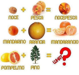 Immagine Divertente - 26/04/2012