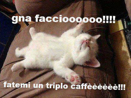 Immagine Divertente - 13/09/2013