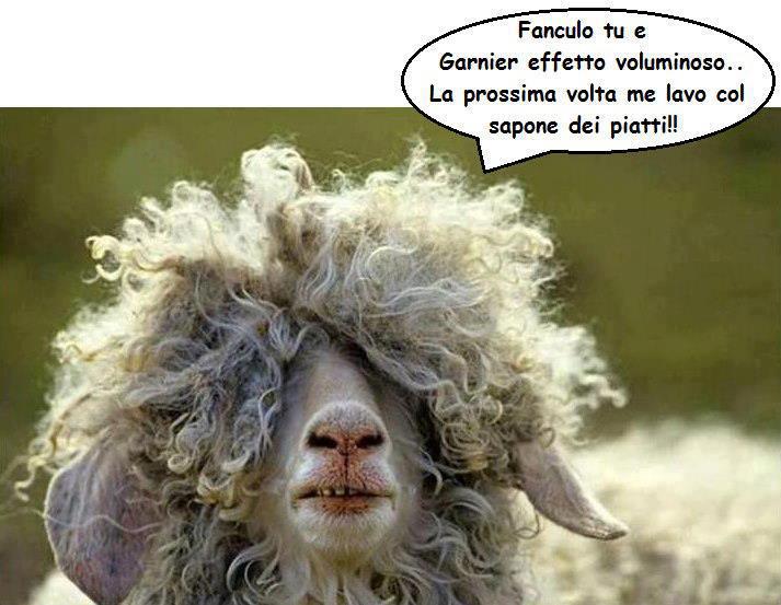 Immagine Divertente - 08/07/2012