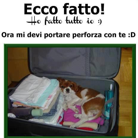 NUN FA 'NA PIEGA !! - 09/07/2012