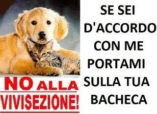 E TU CHE VOI FA' ?! - 10/05/2012