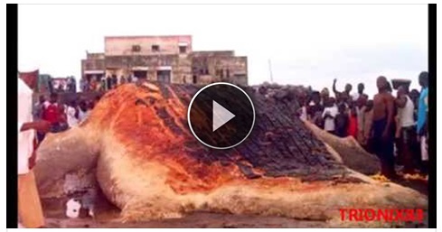 GLI INCREDIBILI RITROVAMENTI SEGRETI NASCOSTI DALLA NASA - IL VIDEO SHOCK DEI MOSTRI - 17/01/2017