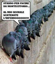 DAJE, CARICAAA !! - 17/04/2012