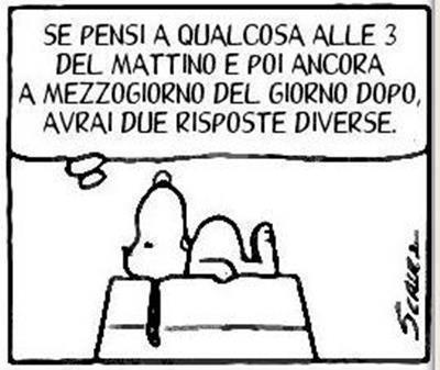 Immagine Divertente - 08/02/2013