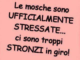 NUN CE LA FANNO PIU' !! - 03/05/2012