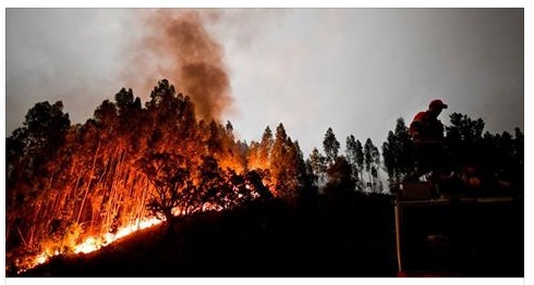 DEVASTANTE INCENDIO NEL CENTRO DEL PAESE: ALMENO 39 MORTI, PERSONE INTRAPPOLATE IN AUTO - 18/06/2017